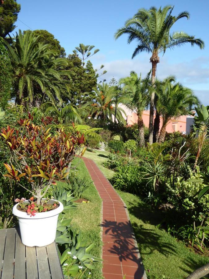 Villa Erika Madeira Canico  Exterior photo